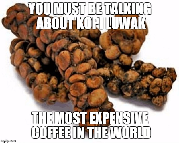 YOU MUST BE TALKING ABOUT KOPI LUWAK THE MOST EXPENSIVE COFFEE IN THE WORLD | made w/ Imgflip meme maker