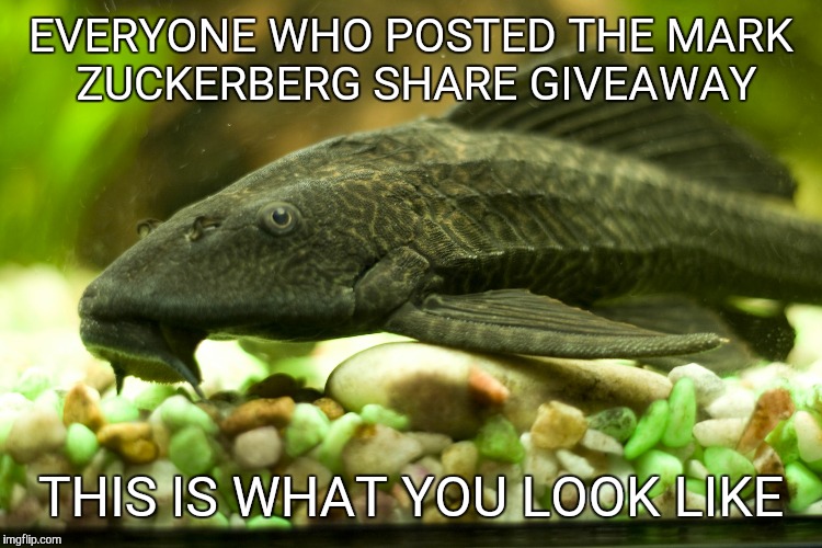 sucker fish | EVERYONE WHO POSTED THE MARK ZUCKERBERG SHARE GIVEAWAY THIS IS WHAT YOU LOOK LIKE | image tagged in sucker fish | made w/ Imgflip meme maker
