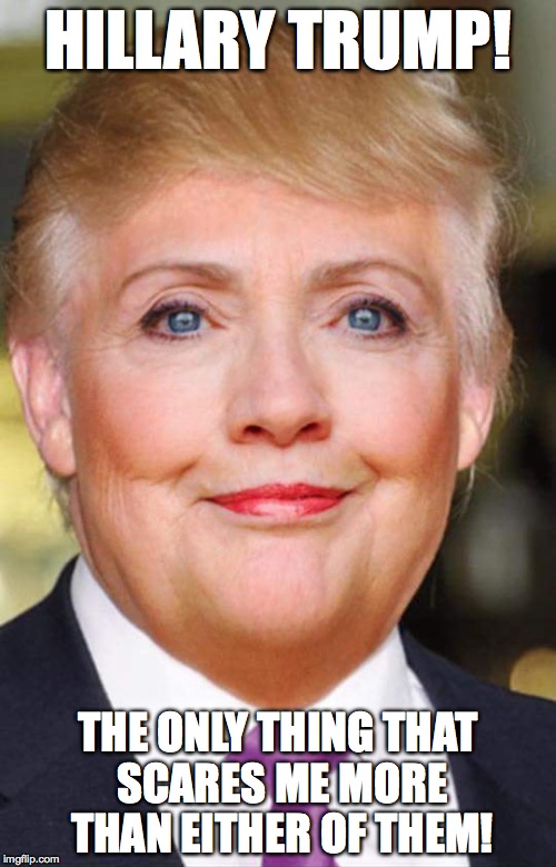 Heaven Help Us! | HILLARY TRUMP! THE ONLY THING THAT SCARES ME MORE THAN EITHER OF THEM! | image tagged in hillary clinton,donald trump,scary | made w/ Imgflip meme maker