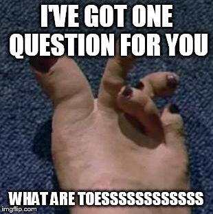 Sister's Toes | I'VE GOT ONE QUESTION FOR YOU WHAT ARE TOESSSSSSSSSSSS | image tagged in sister's toes | made w/ Imgflip meme maker