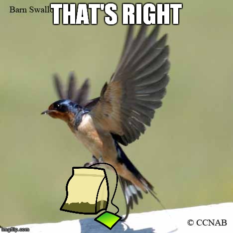 THAT'S RIGHT | made w/ Imgflip meme maker