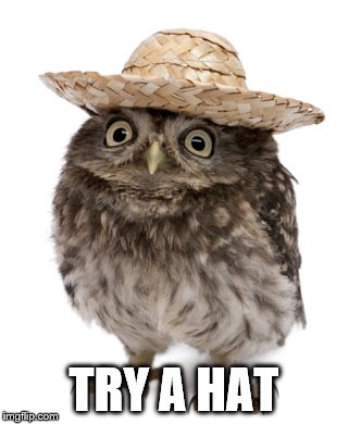 sombrero owl | TRY A HAT | image tagged in sombrero owl | made w/ Imgflip meme maker