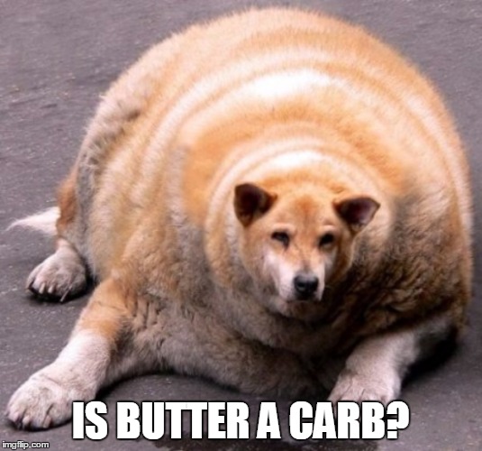 Monday after Christmas break like | IS BUTTER A CARB? | image tagged in clevver,mean girls,dogs,funny,christmas | made w/ Imgflip meme maker