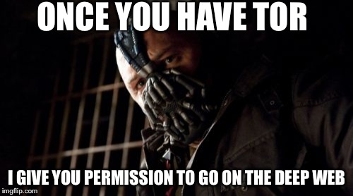 Permission Bane | ONCE YOU HAVE TOR I GIVE YOU PERMISSION TO GO ON THE DEEP WEB | image tagged in memes,permission bane | made w/ Imgflip meme maker