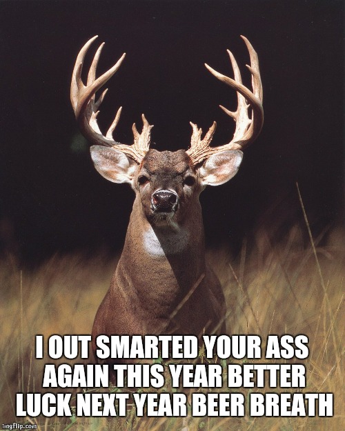 Deer | I OUT SMARTED YOUR ASS AGAIN THIS YEAR BETTER LUCK NEXT YEAR BEER BREATH | image tagged in deer | made w/ Imgflip meme maker