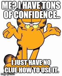 Garfield shrug | ME? I HAVE TONS OF CONFIDENCE.. I JUST HAVE NO CLUE HOW TO USE IT. | image tagged in garfield shrug | made w/ Imgflip meme maker