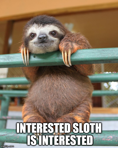 Sloth | INTERESTED SLOTH IS INTERESTED | image tagged in sloth | made w/ Imgflip meme maker