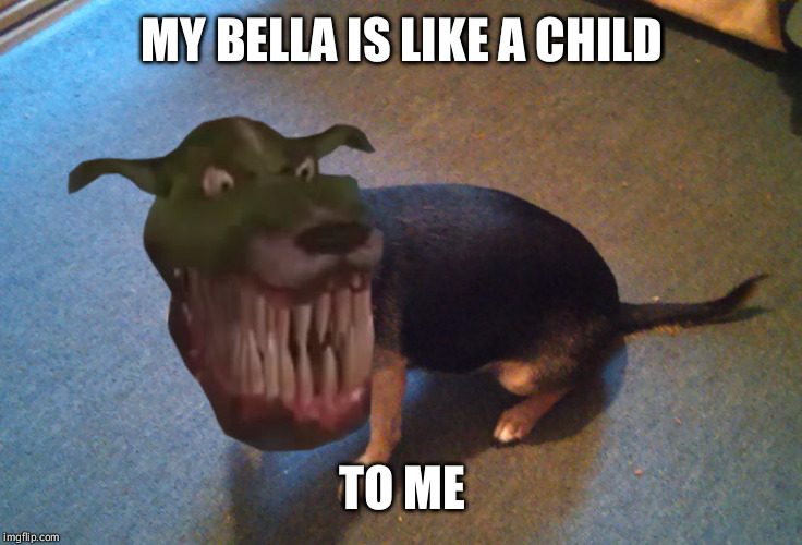 my chihuahua Bella | MY BELLA IS LIKE A CHILD TO ME | image tagged in my chihuahua bella | made w/ Imgflip meme maker