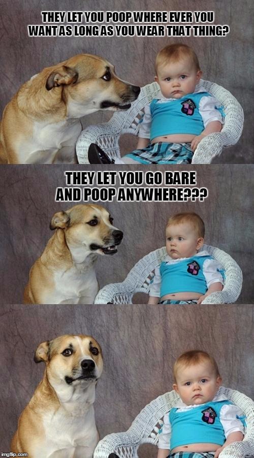 Dad Joke Dog | THEY LET YOU POOP WHERE EVER YOU WANT AS LONG AS YOU WEAR THAT THING? THEY LET YOU GO BARE AND POOP ANYWHERE??? | image tagged in memes,dad joke dog | made w/ Imgflip meme maker