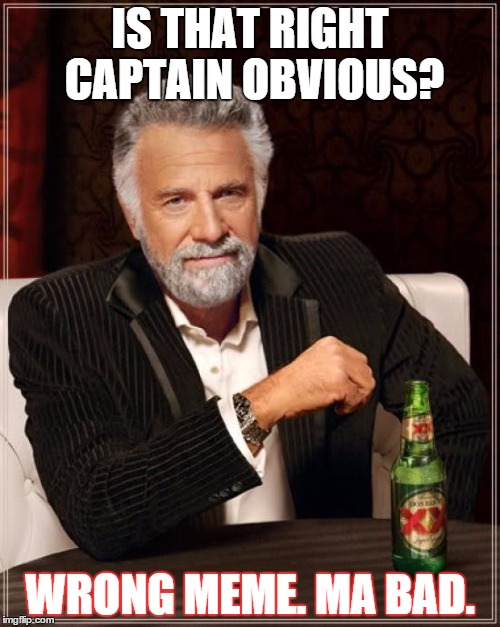 The Most Interesting Man In The World | IS THAT RIGHT CAPTAIN OBVIOUS? WRONG MEME. MA BAD. | image tagged in memes,the most interesting man in the world | made w/ Imgflip meme maker