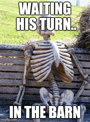 Waiting Skeleton Meme | WAITING HIS TURN.. IN THE BARN | image tagged in memes,waiting skeleton | made w/ Imgflip meme maker