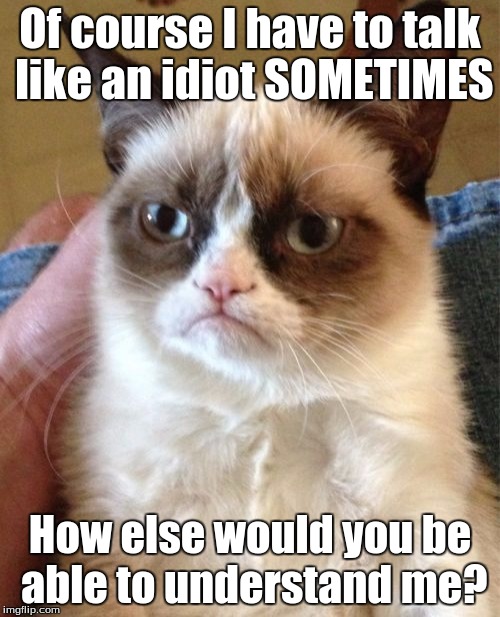 In response to a rather rude person I met earlier today | Of course I have to talk like an idiot SOMETIMES How else would you be able to understand me? | image tagged in memes,grumpy cat | made w/ Imgflip meme maker