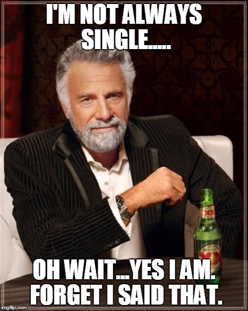 The Most Interesting Man In The World | I'M NOT ALWAYS SINGLE..... OH WAIT...YES I AM. FORGET I SAID THAT. | image tagged in memes,the most interesting man in the world | made w/ Imgflip meme maker