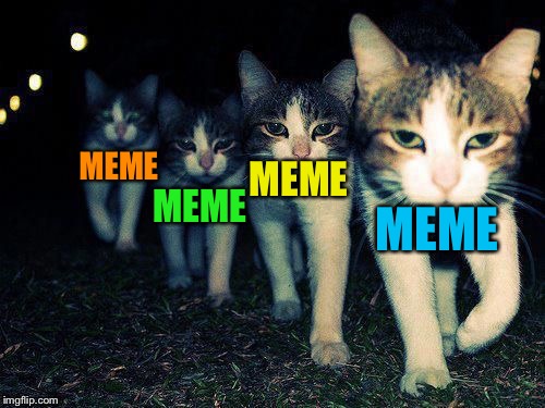 wrong neighborhood cats | MEME MEME MEME MEME | image tagged in wrong neighborhood cats | made w/ Imgflip meme maker