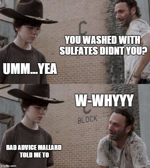 Rick and Carl Meme | YOU WASHED WITH SULFATES DIDNT YOU? UMM...YEA W-WHYYY BAD ADVICE MALLARD TOLD ME TO | image tagged in memes,rick and carl | made w/ Imgflip meme maker