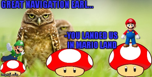 Owl's mate for life | GREAT NAVIGATION EARL... -YOU LANDED US IN MARIO LAND | image tagged in owls,super mario | made w/ Imgflip meme maker