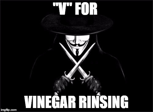V For Vendetta Meme | "V" FOR VINEGAR RINSING | image tagged in memes,v for vendetta | made w/ Imgflip meme maker
