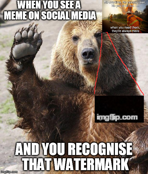 You be all like, "Hey, Guy!" | WHEN YOU SEE A MEME ON SOCIAL MEDIA AND YOU RECOGNISE THAT WATERMARK | image tagged in hello bear,memes,share,newsfeed,firefighter,hero | made w/ Imgflip meme maker