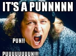 IT'S A PUNNNNN PUN!!              PUUUUUUUUN!!! | made w/ Imgflip meme maker