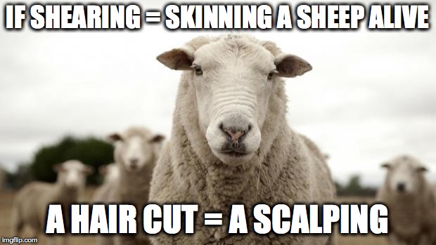 Sheep | IF SHEARING = SKINNING A SHEEP ALIVE A HAIR CUT = A SCALPING | image tagged in sheep | made w/ Imgflip meme maker