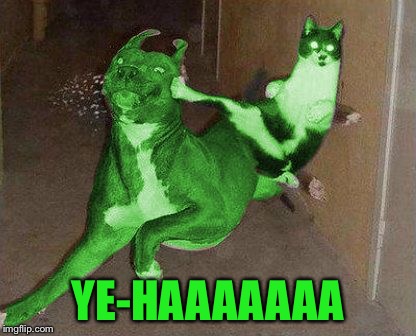 RayCat kicking RayDog | YE-HAAAAAAA | image tagged in raycat kicking raydog | made w/ Imgflip meme maker