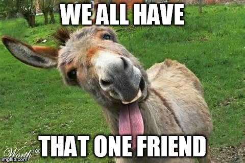 Laughing Donkey | WE ALL HAVE THAT ONE FRIEND | image tagged in laughing donkey | made w/ Imgflip meme maker