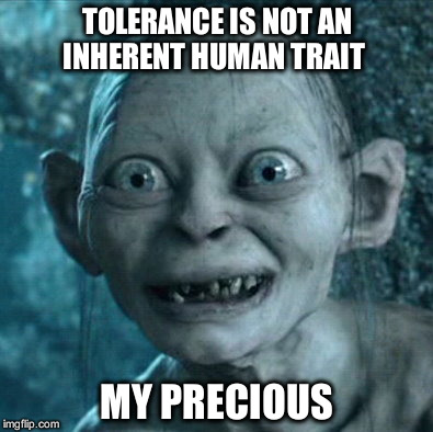 TOLERANCE IS NOT AN INHERENT HUMAN TRAIT MY PRECIOUS | image tagged in memes | made w/ Imgflip meme maker