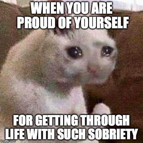 Sad but proud cat | WHEN YOU ARE PROUD OF YOURSELF FOR GETTING THROUGH LIFE WITH SUCH SOBRIETY | image tagged in sad but proud cat | made w/ Imgflip meme maker