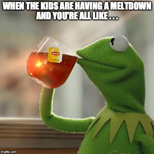 But That's None Of My Business | WHEN THE KIDS ARE HAVING A MELTDOWN AND YOU'RE ALL LIKE . . . | image tagged in memes,but thats none of my business,kermit the frog | made w/ Imgflip meme maker