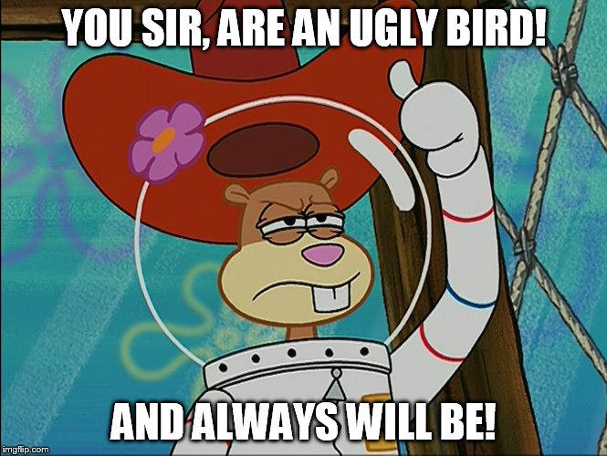 Sandy Cheeks - You Sir | YOU SIR, ARE AN UGLY BIRD! AND ALWAYS WILL BE! | image tagged in sandy cheeks,memes,spongebob squarepants,sandy cheeks cowboy hat,texas girl | made w/ Imgflip meme maker