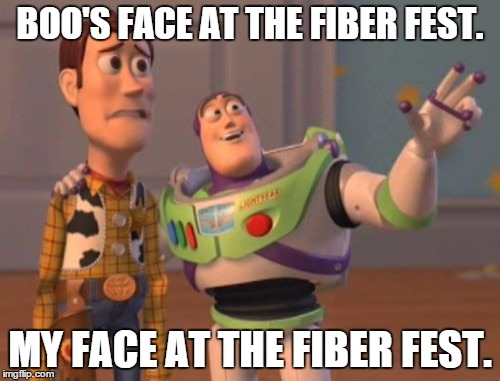 X, X Everywhere | BOO'S FACE AT THE FIBER FEST. MY FACE AT THE FIBER FEST. | image tagged in memes,x x everywhere | made w/ Imgflip meme maker
