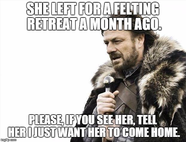 Brace Yourselves X is Coming | SHE LEFT FOR A FELTING RETREAT A MONTH AGO. PLEASE, IF YOU SEE HER, TELL HER I JUST WANT HER TO COME HOME. | image tagged in memes,brace yourselves x is coming | made w/ Imgflip meme maker