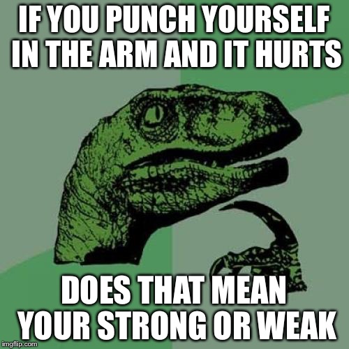 Philosoraptor | IF YOU PUNCH YOURSELF IN THE ARM AND IT HURTS DOES THAT MEAN YOUR STRONG OR WEAK | image tagged in memes,philosoraptor | made w/ Imgflip meme maker
