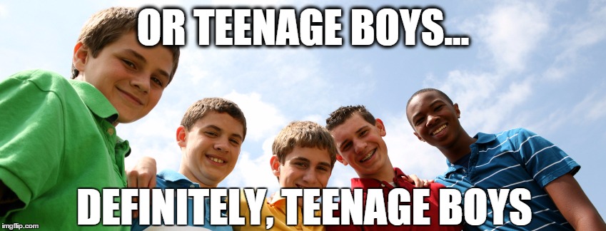 OR TEENAGE BOYS... DEFINITELY, TEENAGE BOYS | image tagged in raising boys | made w/ Imgflip meme maker