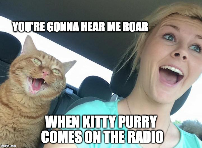 I Love Top Furry Radio | YOU'RE GONNA HEAR ME ROAR WHEN KITTY PURRY COMES ON THE RADIO | image tagged in cat,singing,pop music | made w/ Imgflip meme maker