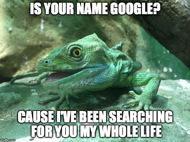IS YOUR NAME GOOGLE? CAUSE I'VE BEEN SEARCHING FOR YOU MY WHOLE LIFE | image tagged in lizard,pickup master | made w/ Imgflip meme maker