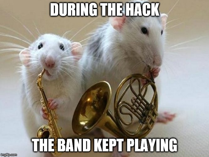 Not sure a saxophone and French horn qualifies as a band though... | DURING THE HACK THE BAND KEPT PLAYING | image tagged in musical animals,imgflip hack,band,music | made w/ Imgflip meme maker