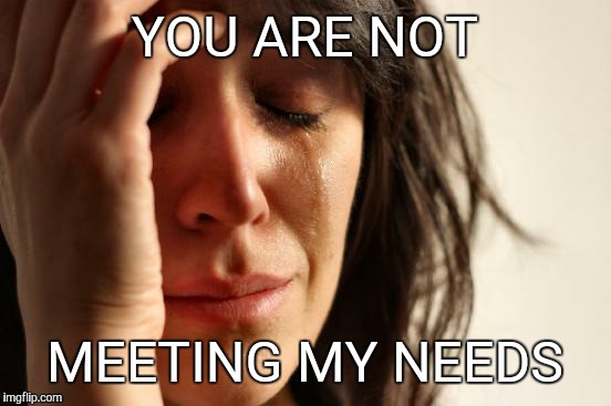 First World Problems Meme | YOU ARE NOT MEETING MY NEEDS | image tagged in memes,first world problems | made w/ Imgflip meme maker