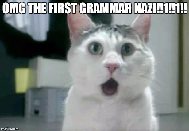 OMG THE FIRST GRAMMAR NAZI!!1!!1!! | made w/ Imgflip meme maker