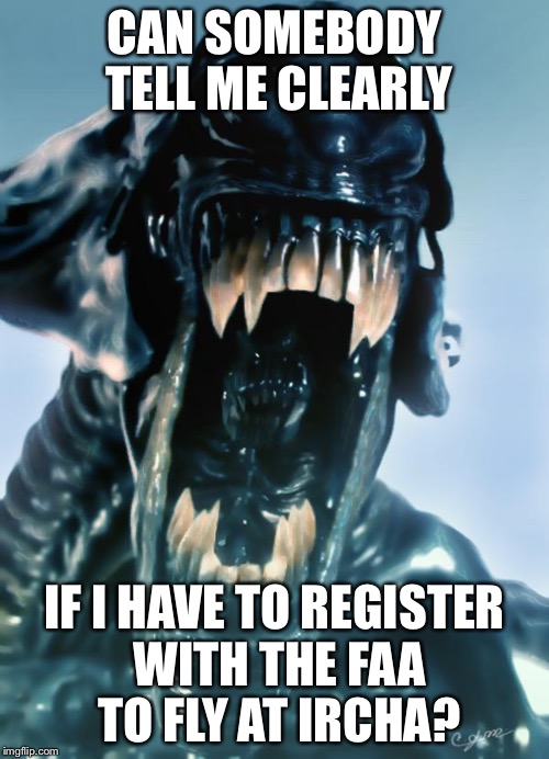 alien | CAN SOMEBODY TELL ME CLEARLY IF I HAVE TO REGISTER WITH THE FAA TO FLY AT IRCHA? | image tagged in alien | made w/ Imgflip meme maker