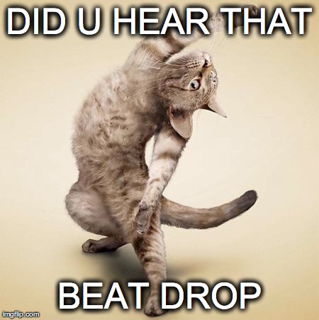 DID U HEAR THAT BEAT DROP | made w/ Imgflip meme maker