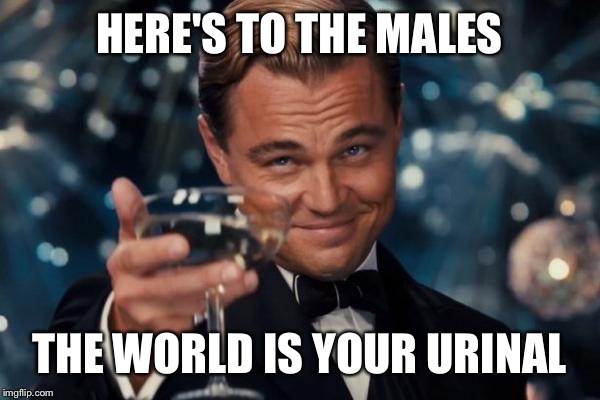 Leonardo Dicaprio Cheers | HERE'S TO THE MALES THE WORLD IS YOUR URINAL | image tagged in memes,leonardo dicaprio cheers | made w/ Imgflip meme maker