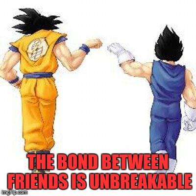 Dragon ball z bros | THE BOND BETWEEN FRIENDS IS UNBREAKABLE | image tagged in dragon ball z bros | made w/ Imgflip meme maker