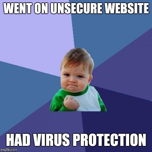 Success Kid Meme | WENT ON UNSECURE WEBSITE HAD VIRUS PROTECTION | image tagged in memes,success kid | made w/ Imgflip meme maker