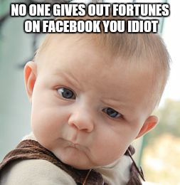 Skeptical Baby | NO ONE GIVES OUT FORTUNES ON FACEBOOK YOU IDIOT | image tagged in memes,skeptical baby | made w/ Imgflip meme maker