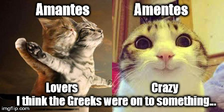Crazy Love | Amantes                 Amentes Lovers                                   Crazy    I think the Greeks were on to something... | image tagged in love,crazy,latin,greek | made w/ Imgflip meme maker
