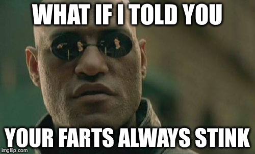 Matrix Morpheus Meme | WHAT IF I TOLD YOU YOUR FARTS ALWAYS STINK | image tagged in memes,matrix morpheus | made w/ Imgflip meme maker