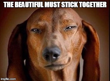 THE BEAUTIFUL MUST STICK TOGETHER | made w/ Imgflip meme maker