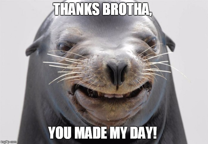 happy seal | THANKS BROTHA, YOU MADE MY DAY! | image tagged in happy seal | made w/ Imgflip meme maker