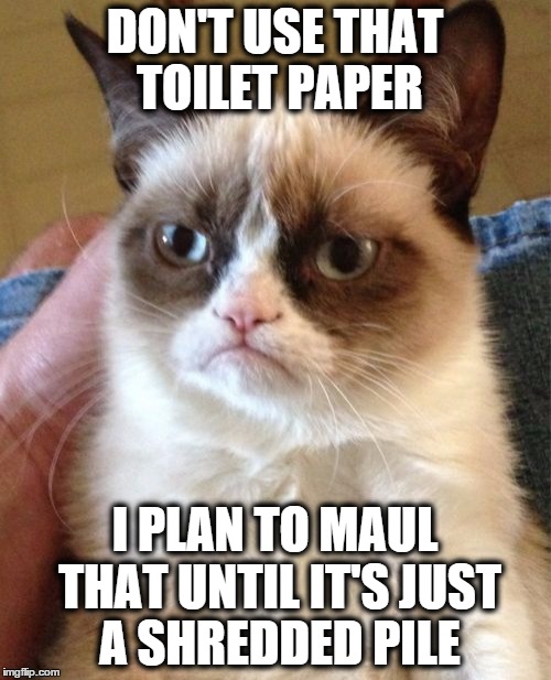 Grumpy Cat Meme | DON'T USE THAT TOILET PAPER I PLAN TO MAUL THAT UNTIL IT'S JUST A SHREDDED PILE | image tagged in memes,grumpy cat | made w/ Imgflip meme maker